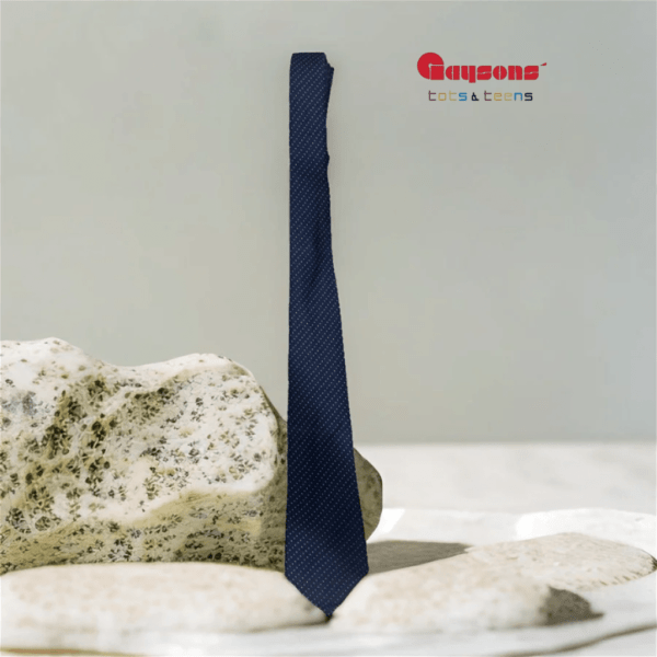 Blue Tie | College Uniform