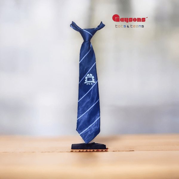 Dark Blue Tie | College Uniform