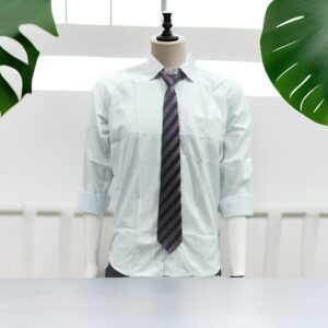 Brown Stripes Tie | College Uniform
