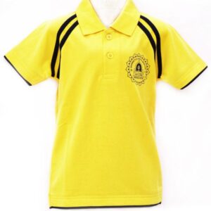 House colour T-Shirt (for Boys & Girls) STD. Ist to VIIth & VIIIth to Xth